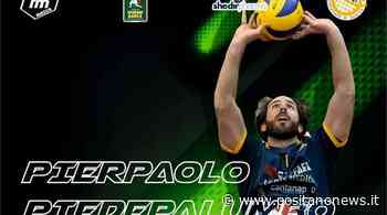 Folgore Massa, Pierpaolo Piedepalumbo commenta il suo ritorno in penisola - Positanonews - Positanonews