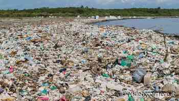 Guatemala, una massa di rifiuti sulle coste alla foce del Rio Motagua - Corriere TV