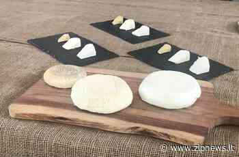 Weekend di formaggi a Roccaverano, musica e Moscato a Canelli - ZipNews