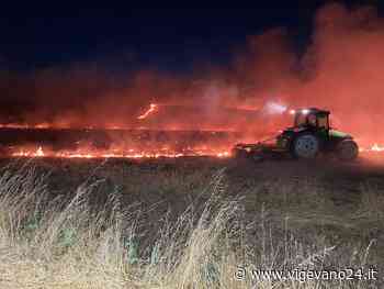 Mezzana Bigli: bruciano due ettari vicino alla Cascina Erbatici - Vigevano24.it