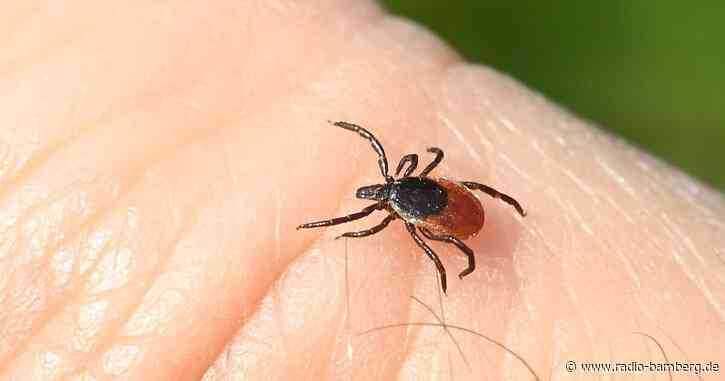Vergleichsweise wenige Borreliose-Infektionen in Bayern