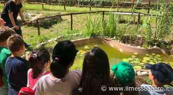 Esploratori in erba, il 25 giugno l’escursione nella Rieti Medievale e all’Hortus Semplicium - ilmessaggero.it