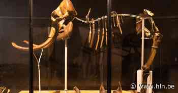 Mammoet Pascal(e) krijgt eigen expo in Hoboken - Het Laatste Nieuws