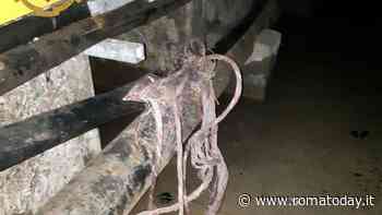 Si calano nelle gallerie, rubano il rame e lasciano senza luce e internet un quartiere