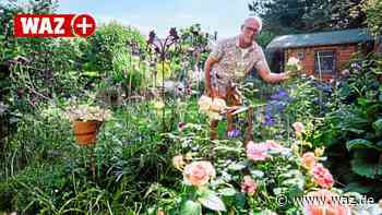 Velbert: Leser zeigen ihre Gärten und Balkone - WAZ News
