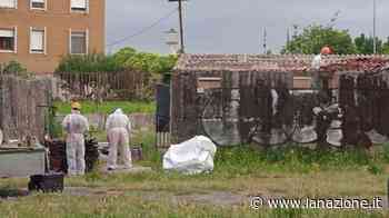 "La moschea di Pisa? Non prima del 2025" - LA NAZIONE