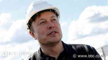 New Tesla factories losing billions of dollars, Musk says