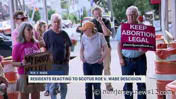 Hudson Valley residents hold protests in Rockland, Hastings in reaction to Roe v. Wade decision - News 12 New Jersey