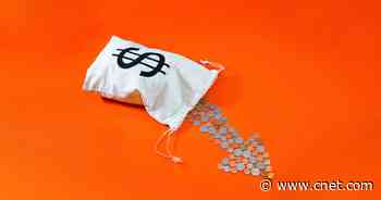 Bear Markets: Expert Stock Market Advice for Investors     - CNET