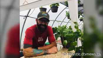 The Groovy Gardener: Cape Breton man turns green thumb into budding business - CTV News Atlantic