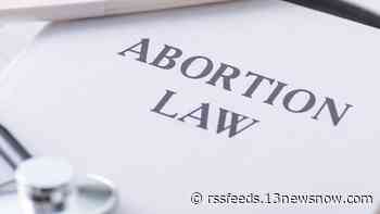 Emotions run high in wake of SCOTUS ruling on abortion; law professor weighs in on future implications