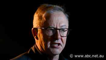 Anthony Albanese concerned about Russia-China 'closeness' ahead of NATO summit