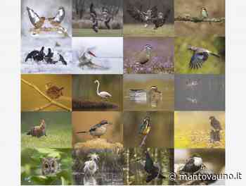 Inaugura domani "Admirandum" mostra fotografica in onore del conte Luigi d'Arco - Mantovauno.it