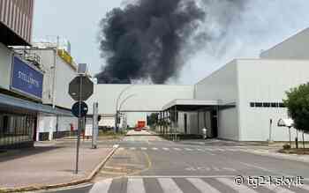 Pomigliano d'Arco, incendio in area Stellantis: fermata produzione - Sky Tg24
