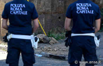 A Roma cede una parte dell'arco di Porta Maggiore - Primopiano - Agenzia ANSA