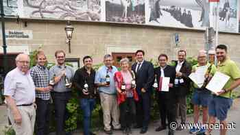 Verkostungs-Erfolge - Goldregen für Badner Weine - NÖN.at