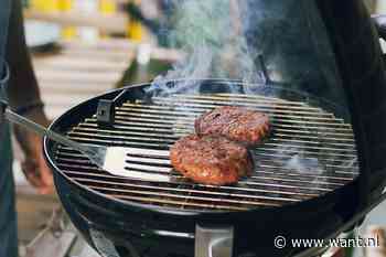 De BBQ kan weer naar buiten: vijf gadgets die je zomer nog beter maken! - Want