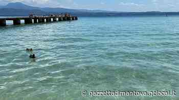 Siccità, «L'acqua del Garda va usata per rallentare il cuneo salino» - La Gazzetta di Mantova