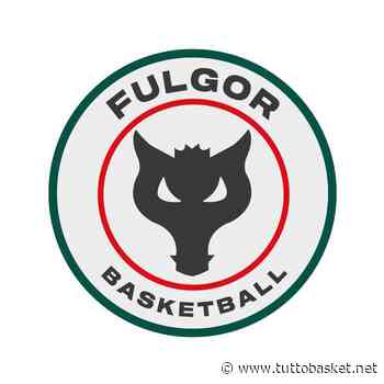 Si separano ufficialmente le strade di coach Fioretti e della Fulgor Omegna - Tuttobasket.net