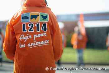 Quimper : manifestation de l'association L214 devant l'usine Doux pour de meilleures conditions pour les poulets - France 3 Régions