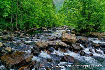 Indigenous conservation Canada’s way of the future environmentalism - Omineca Express