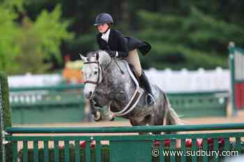 Twelve-year-old Sudburian ranked 1st nationally in equestrian