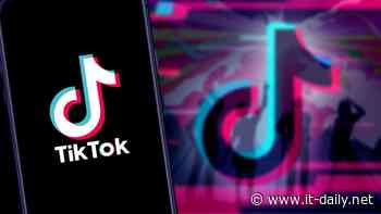 TikTok: Viel Spaß, aber auch Risiken - Onlineportal von IT Management - it-daily.net