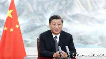 'BRICS+': High-quality partnership for high-level global development - CGTN