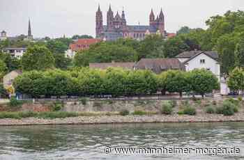 Per Schiff in die Zukunft - Lampertheim - Nachrichten und Informationen - Mannheimer Morgen