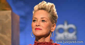 Sharon Stone Reveals She Lost 9 Children Due to Miscarriages