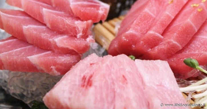 Che legame c’è tra consumo di pesce e rischio di melanoma? “Non per l’alimento in sé ma per il contenuto di diossine, mercurio e arsenico”