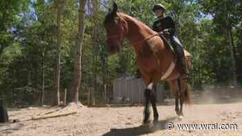 Young Virginia entrepreneur created his own business with the goal of purchasing his dream horse - WRAL News