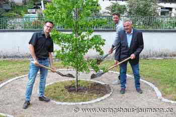 Kandern: Kleiner Friedhof erweitert Angebot - Verlagshaus Jaumann - www.verlagshaus-jaumann.de