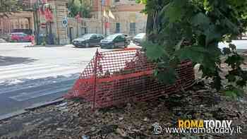 Castro Pretorio, rifiuti e degrado lungo viale del Policlinico: "Situazione incresciosa"