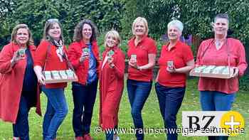 Pünktlich zum Peiner Freischießen das Karten-Quartett