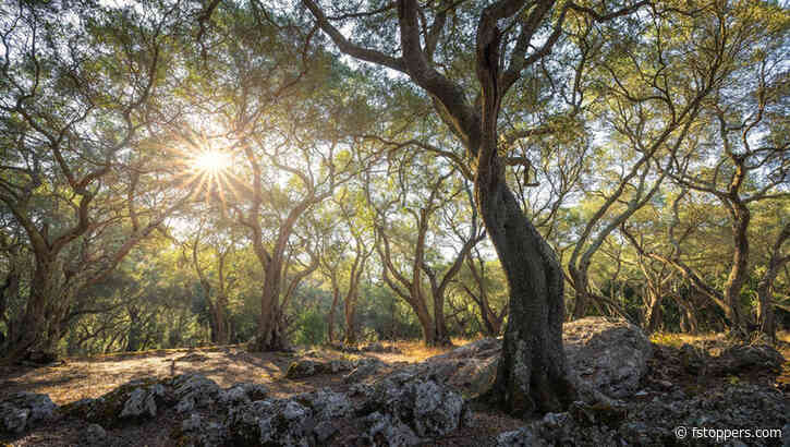 How to Find New Photo Spots