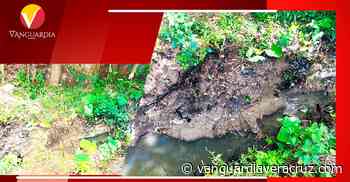 Derrame de aceite contamina arroyo en Cerro Azul - Vanguardia de Veracruz