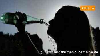 Steigende Temperaturen: Augsburg muss robuster werden