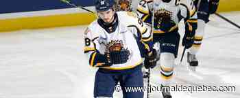 Coupe Memorial : Les Cataractes jurent avoir appris la leçon