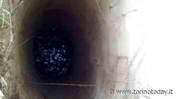 Allarme in un campo a Bauducchi di Moncalieri: ragazzo finisce in un pozzo - TorinoToday