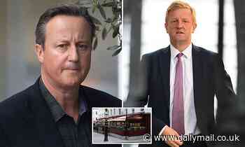 David Cameron 'plotted' with Oliver Dowden weeks before he stepped down as Tory Party chair - Daily Mail