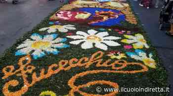 È tornata a Fucecchio la magia dell'Infiorata - IlCuoioInDiretta - IlCuoioInDiretta
