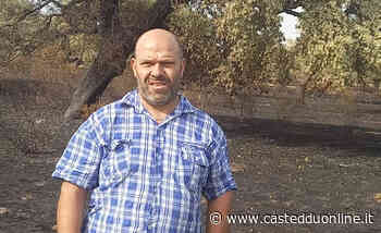 L'urlo dell'allevatore di San Gavino Monreale: "Il mio terreno distrutto dall'incendio, ho perso tutto" - Casteddu Online