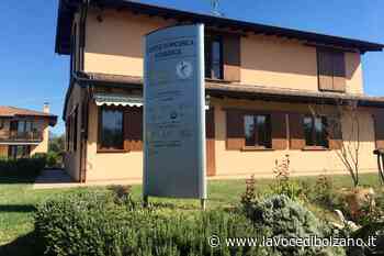 GARLIVE®, un concentrato di salute dalle olive del lago di Garda - La Voce di Bolzano