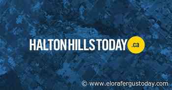 Village Media expands again, launches news site in Halton Hills - EloraFergusToday
