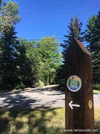 Chemin du Lac : plus de 100 km de sentier autour du lac Saint-Pierre - La Nouvelle Union