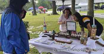 Aurora fest works to spread awareness of the importance of pollinators in our environment - Chicago Tribune