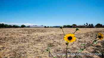 Merced approves new medical clinic, residences — but many details still in the works - Merced Sun-Star