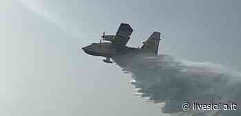 Vasto incendio nel Catanese: in azione canadair - Livesicilia.it
