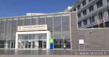 Catania, al Policlinico assunti altri 19 medici - La Sicilia